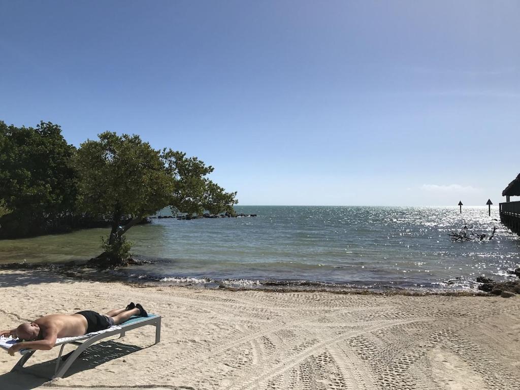 Tropical Daze Oceanfront Paradise Tavernier Buitenkant foto