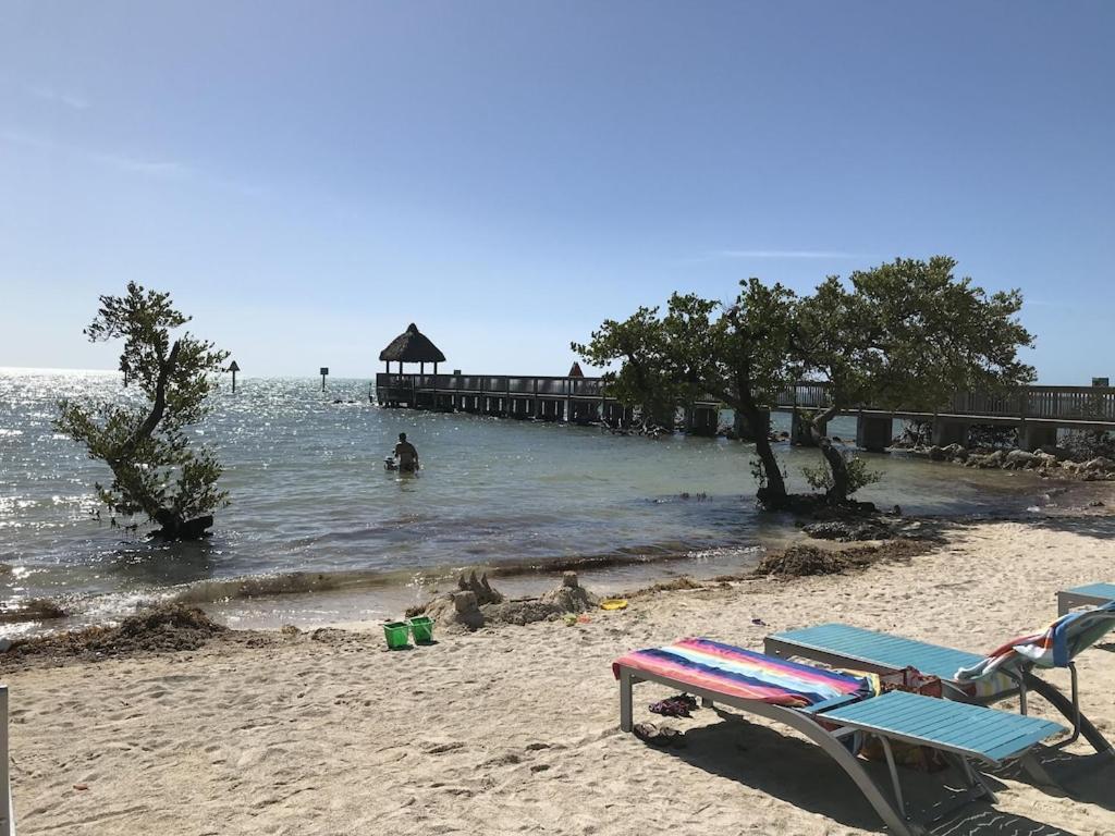 Tropical Daze Oceanfront Paradise Tavernier Buitenkant foto